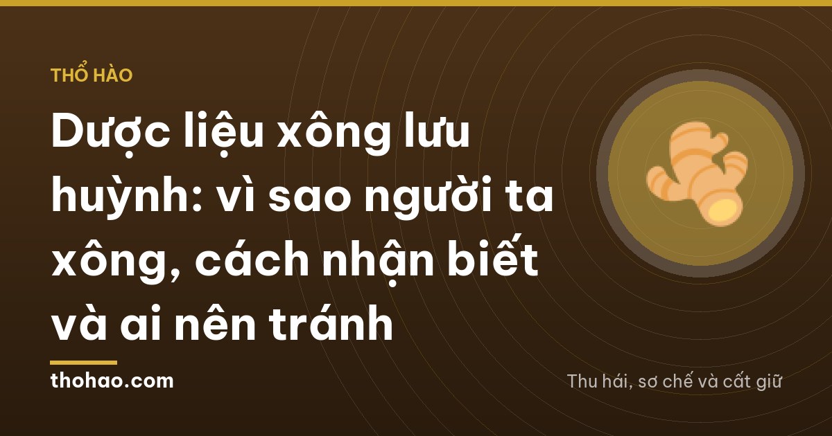Dược liệu xông lưu huỳnh: vì sao người ta xông, cách nhận biết và ai nên tránh